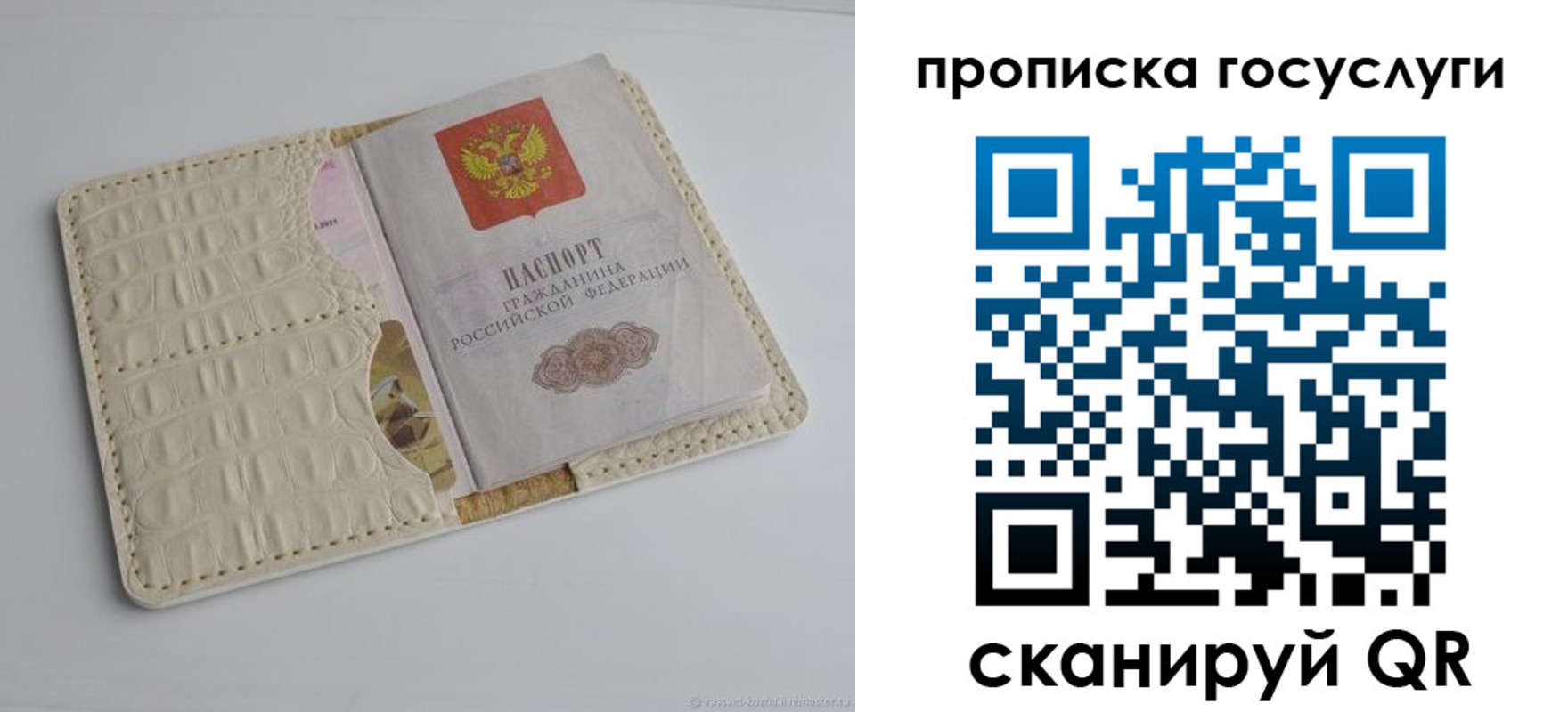 прописка в Александровске