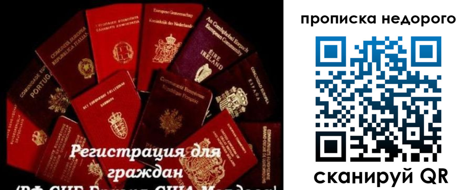 временная регистрация недорого в Александровске